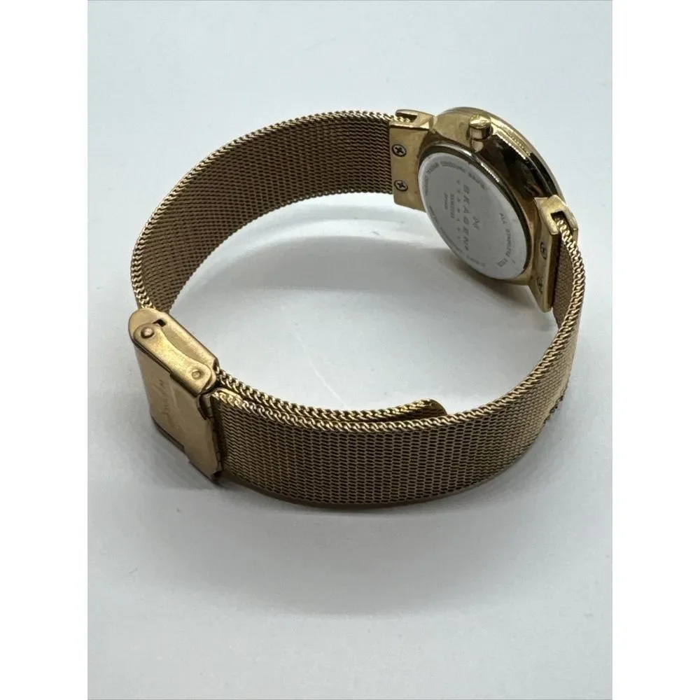 Unbranded skagen skw2253